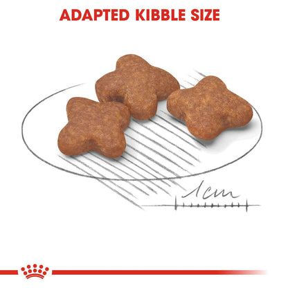Royal Canin Mini Adult 8+ Dry Dog Food