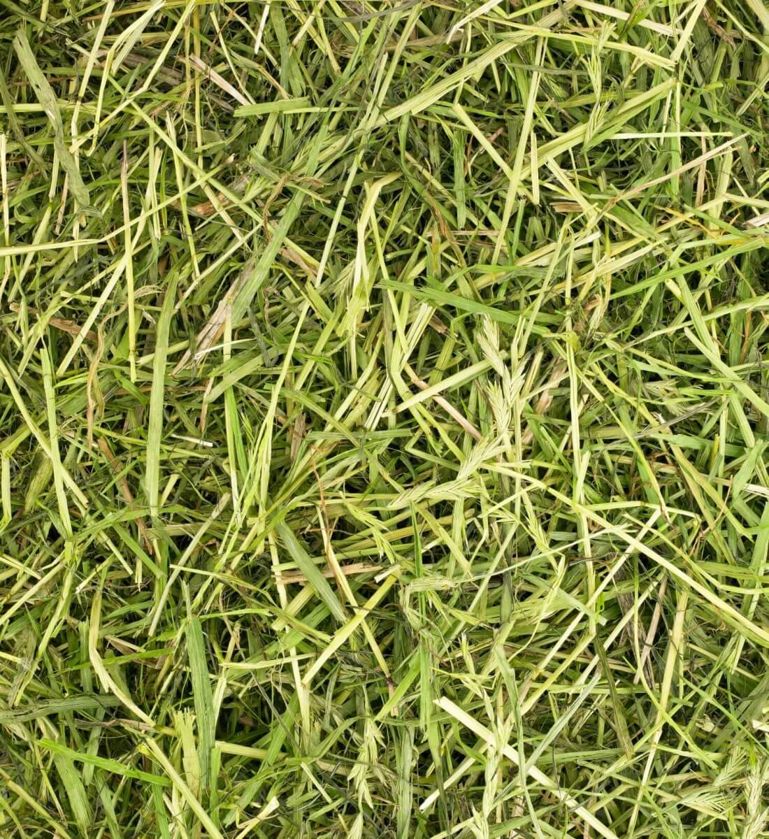 Friendly ReadiGrass Small Animal Food 1kg