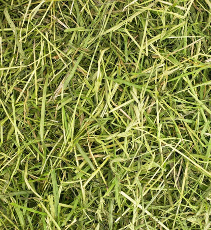 Friendly ReadiGrass Small Animal Food 1kg