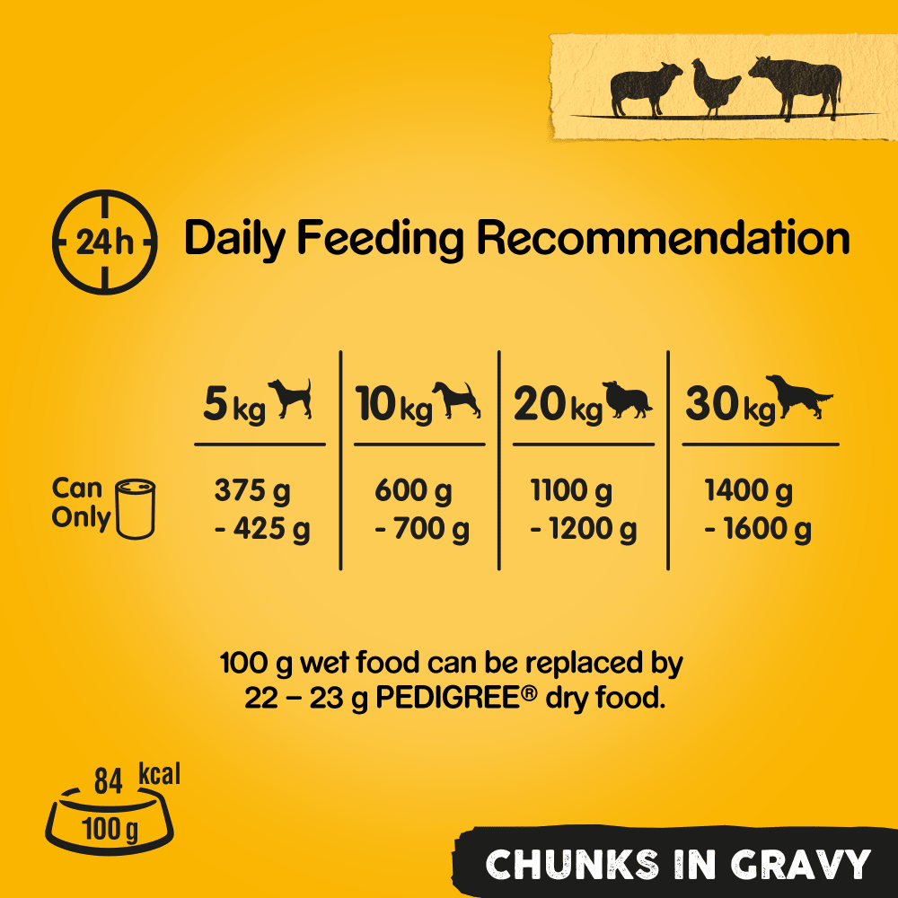 Pedigree Chunks in Gravy Wet Dog Food