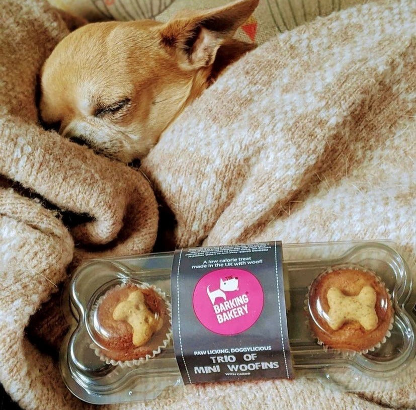 Barking Bakery Woofin Mini Uniced Trios Dog Cakes