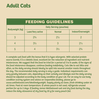 James Wellbeloved Grain Free Adult Lamb Wet Cat Food in Gravy 12 x 85g